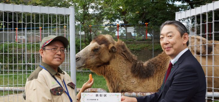 天王寺動物園　フタコブラクダのジャックちゃん　28歳　ご長寿表彰